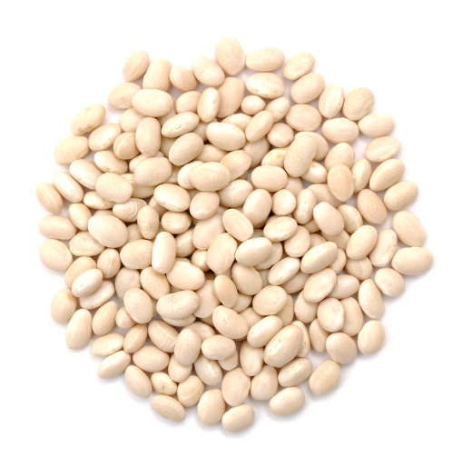 Navy Beans, Organic - Ferris Organic Farm