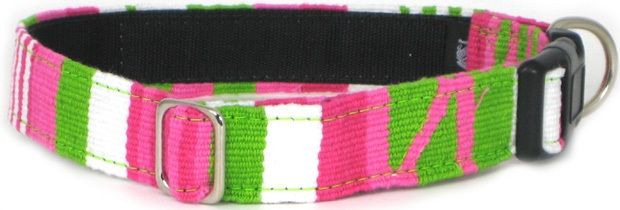 Color Pet™ Maya Custom Personalized Lumina Collar: Medium Wide