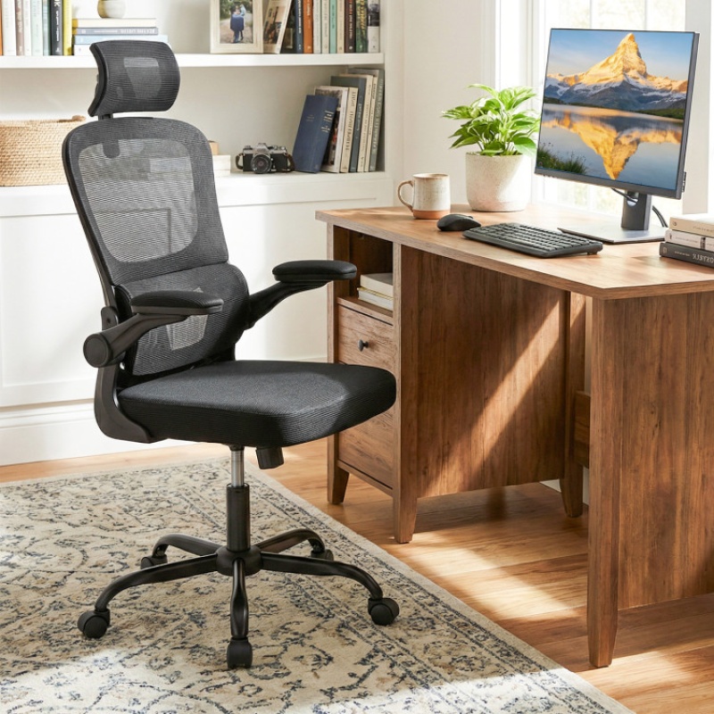 Mesh Office Chair With Adaptive Lumbar Support, Flip-Up Armrests, Reclining Backrest-Black