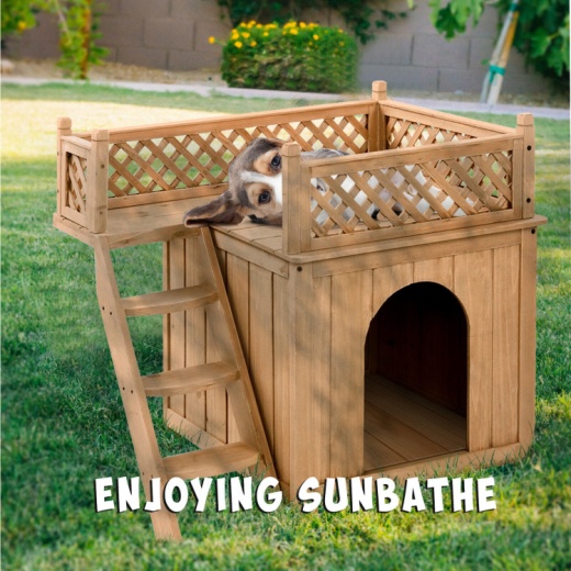 Wooden Dog House With Stairs And Raised Balcony For Puppy And Cat