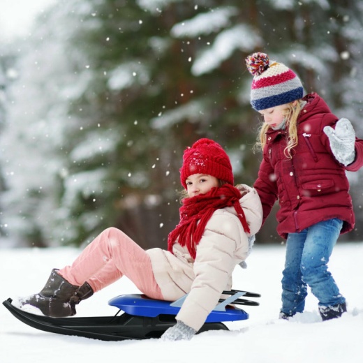 Folding Kids' Metal Snow Sled With Pull Rope Snow Slider And Leather Seat