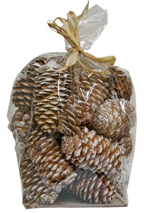 Snowy Pinecone Fillers, 6 Oz