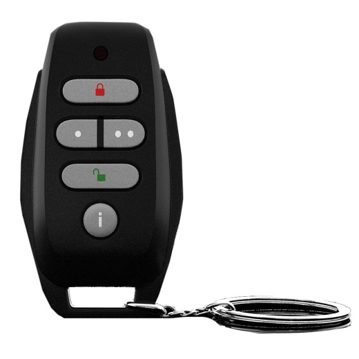 Gost Remote Keyfob