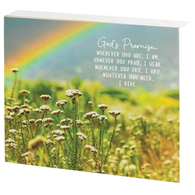 Tabletop Plaque Gods Promise 10X8