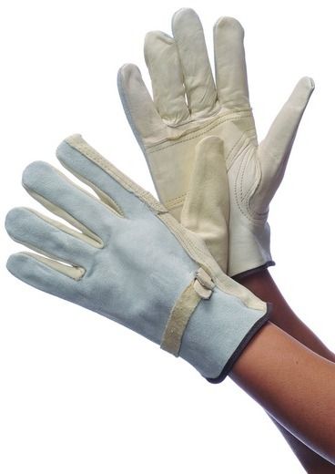 Leather Cowhide Driver Gloves Medium