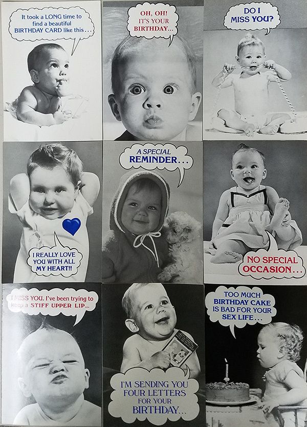 Humorous Family Album Cards Assorted - 144 Pack