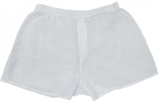 Cotton Plus Boxer Shorts - White, 6X