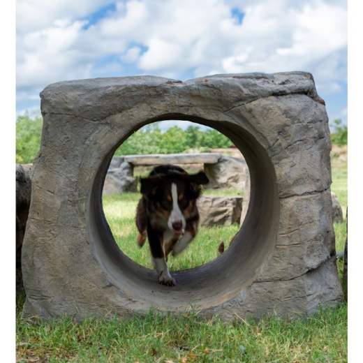 Naturedog Boulder Run
