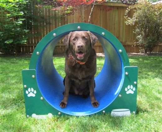 Bow Wow Barrel