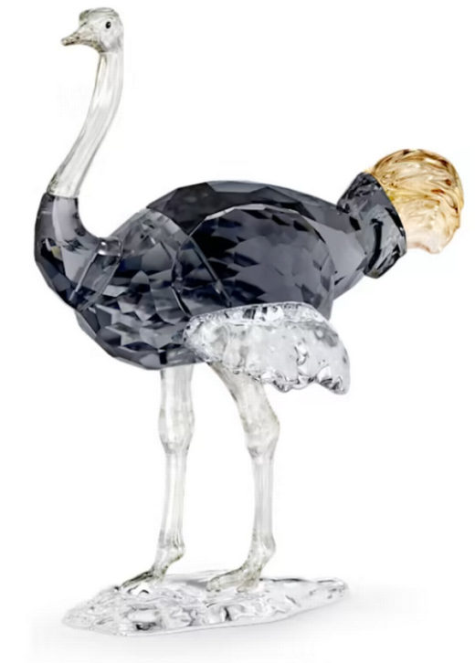 Swarovski Elegance Of Africa Scs Ostrich Makena