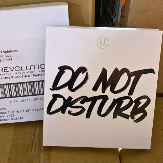 Bh Cosmetics Do Not Disturb 9 Color Shadow Palette (30 Pcs Lot)