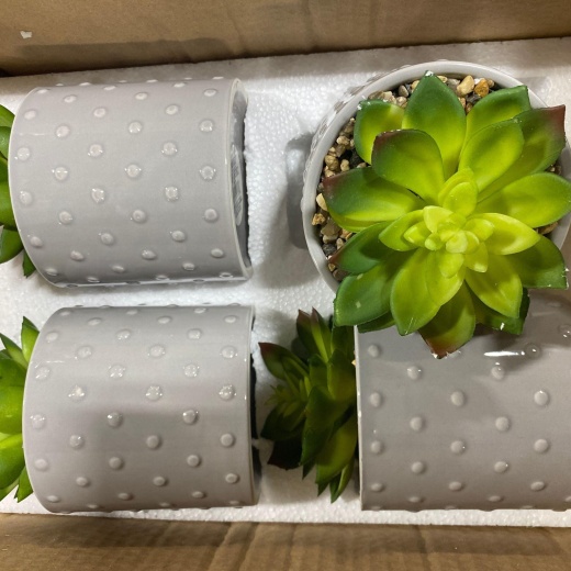 Garden Party Grey Dotted Ceramic Pot Succulent (40 Pcs Lot)