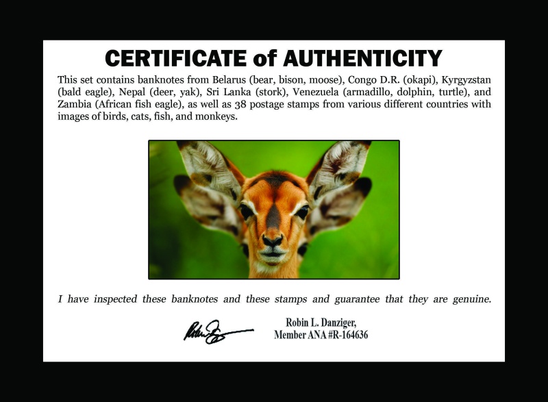 Wildlife: 50 Piece Collection Of World Stamps & Banknotes (Clear Box)