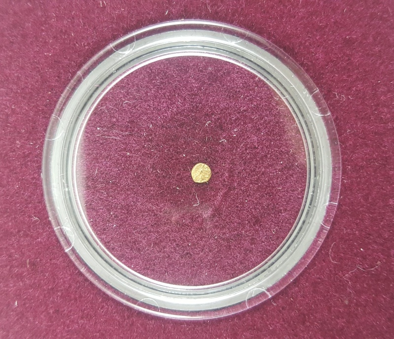 World’S Smallest Gold Coin: Bele Of Vijayanagara (Clear Box)