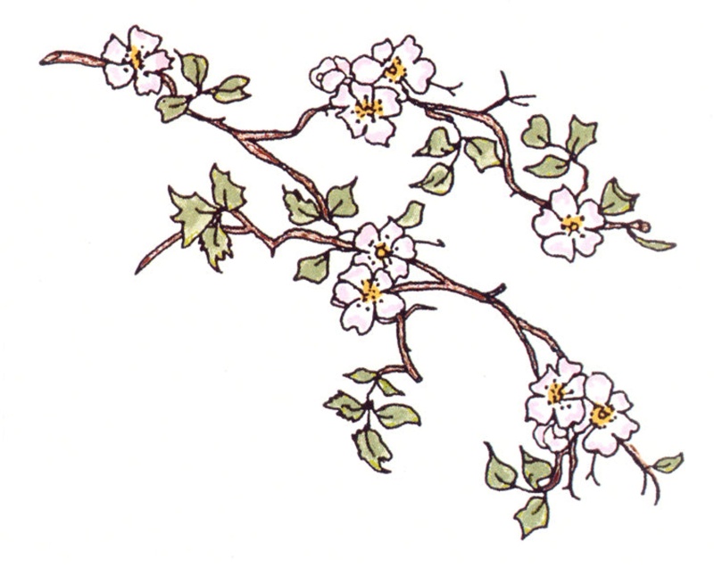 Frog's Whiskers Ink Stamp - Apple Blossom Branch