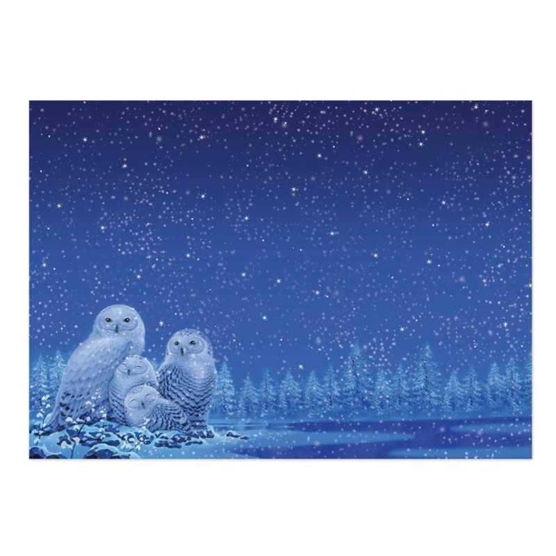 Owl I Want For Christmas Luxury Topper Set