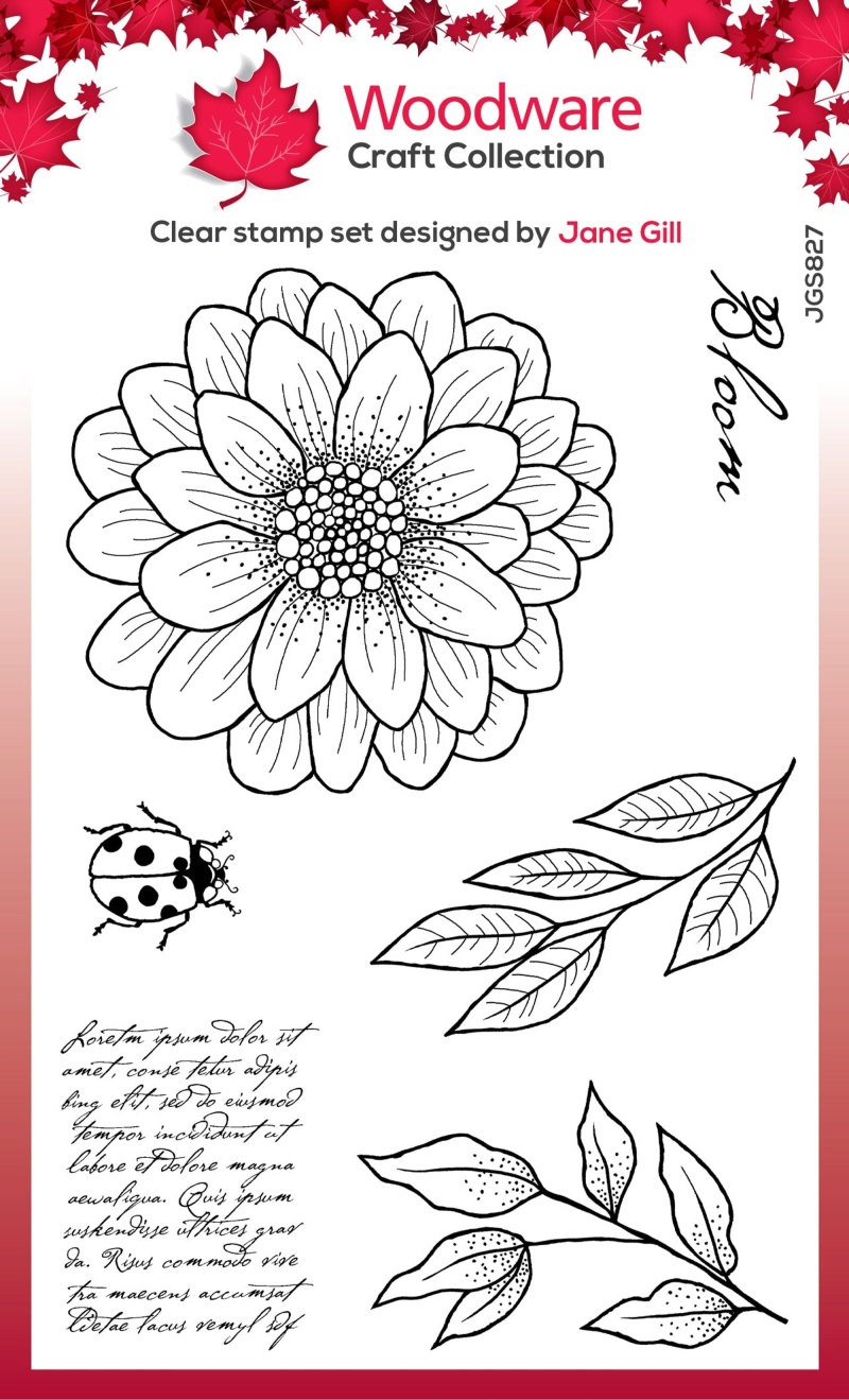 Woodware Clear Singles Ditsy Daisy 4 In X 6 In Stamp