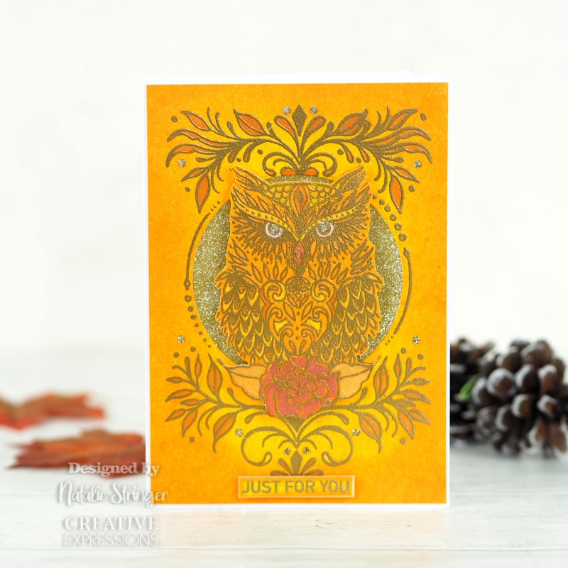 Creative Expressions Designer Boutique Collection Owl Be There For Twit Twoo A6 Clear Stamp Set
