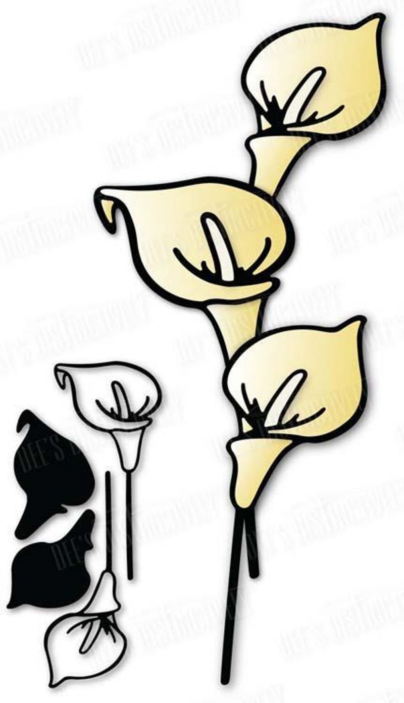 Dee's Distinctively Dies Calla Lily
