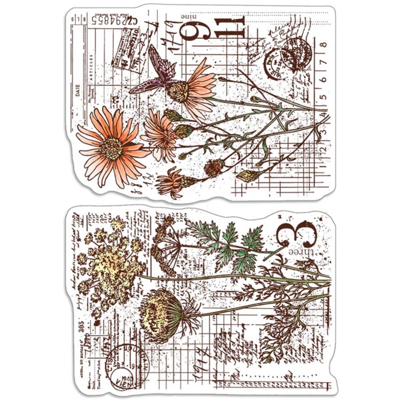 Ciao Bella Clear Stamp Set 4"X6" Botanical & Postmarks