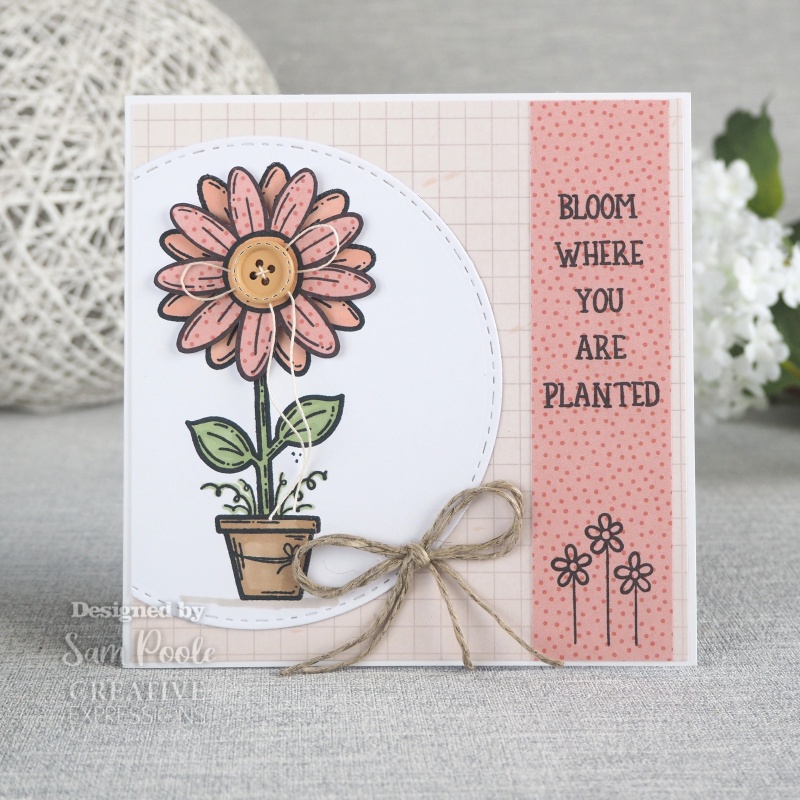 Creative Expressions Sam Poole Daisy Bloom 6 In X 4 In Clear Stamp Set