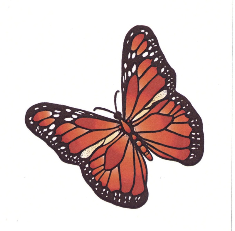 Frog's Whiskers Ink Stamp - Summer Butterfly
