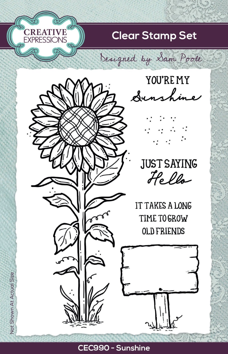 Creative Expressions Sam Poole Sunshine 6 In X 4 In Clear Stamp Set