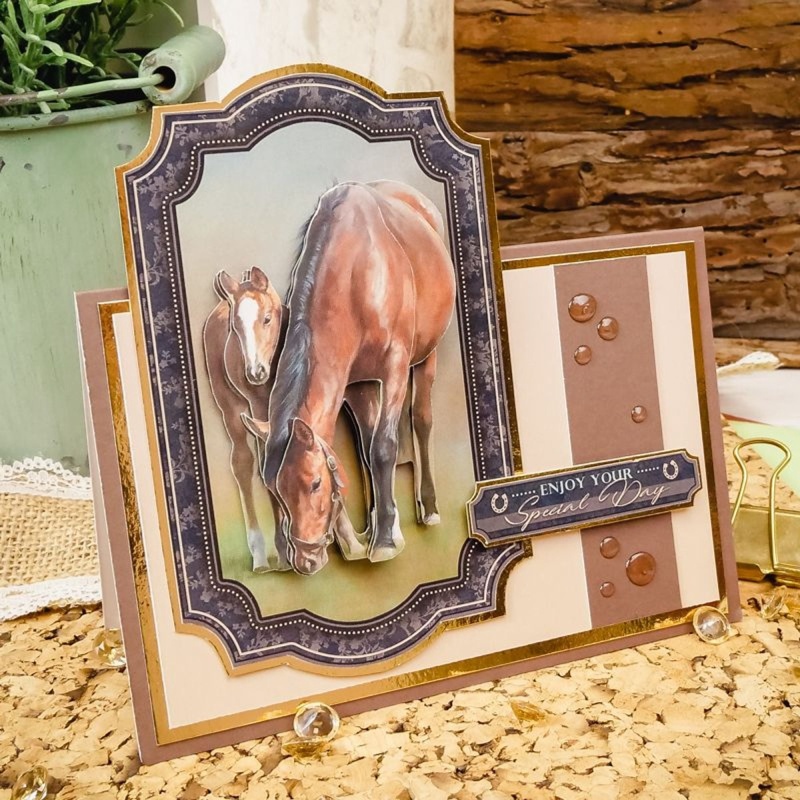 Horse & Country Decoupage Book