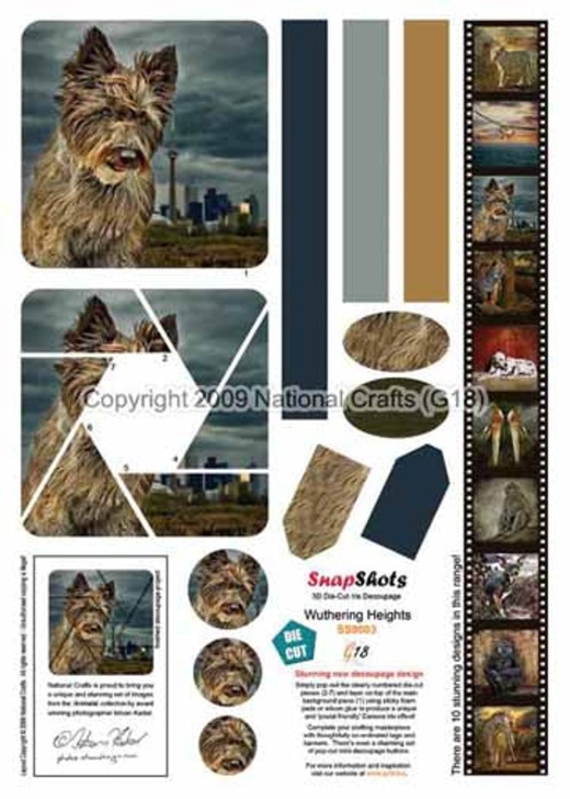 National Crafts G18 Snapshots Wuthering Heights Scrapbooking Collection
