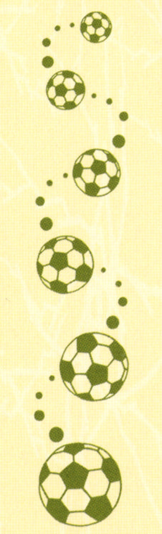 Border Embossing Folder Sport 1" X 6"