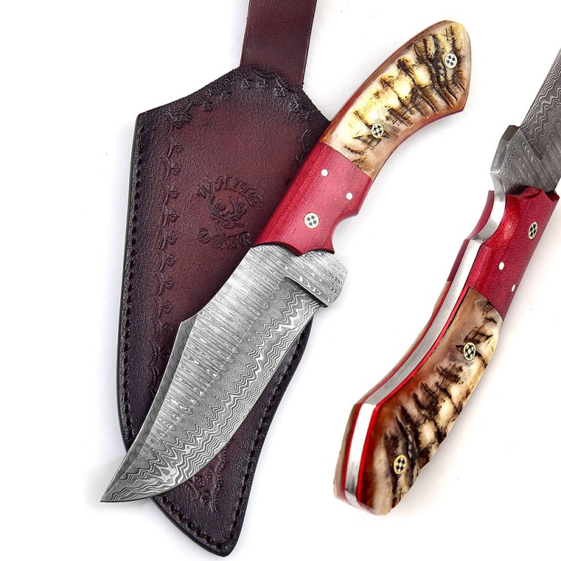 White Deer Damascus Steel Knife Bison Hunter Ram Handle