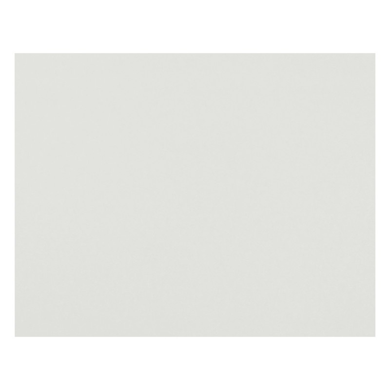 50Ct Rr Poster Board White 4Ply W/Upc