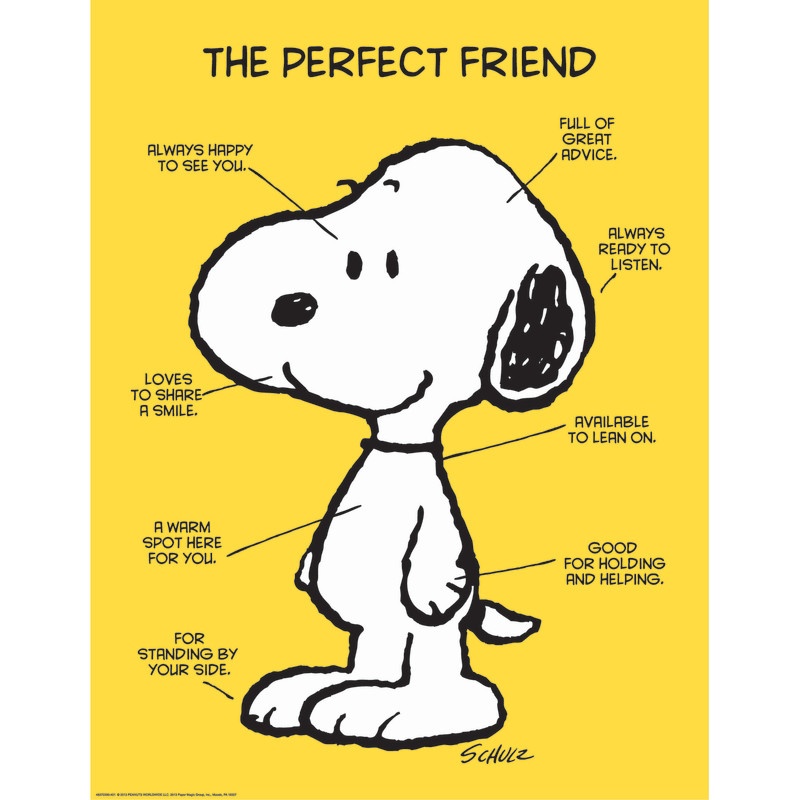 Peanuts The Perfect Friend 17X22 Poster