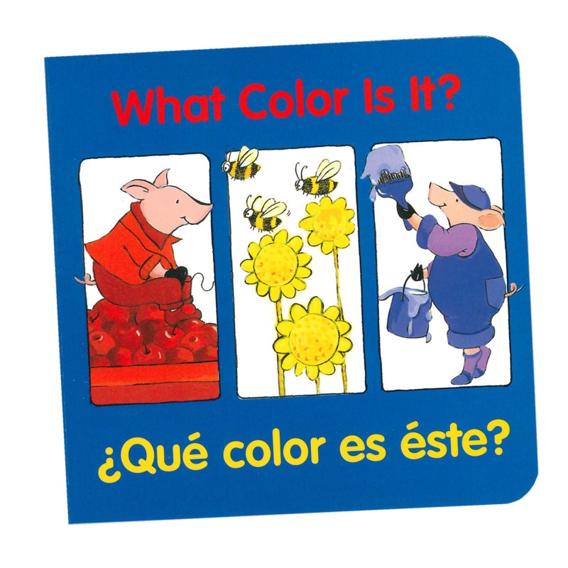 What Color Is It Bilingual Book