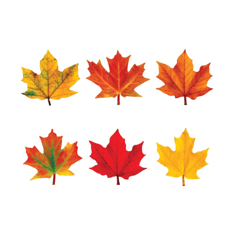 Classic Accents Maple Leaves Mini Variety Pk-Discovery