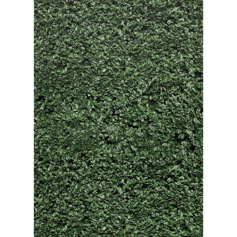 Boxwood Bulletin Board Roll 4/Ct Better Than Paper