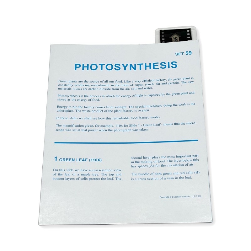 Microslide Photosynthesis