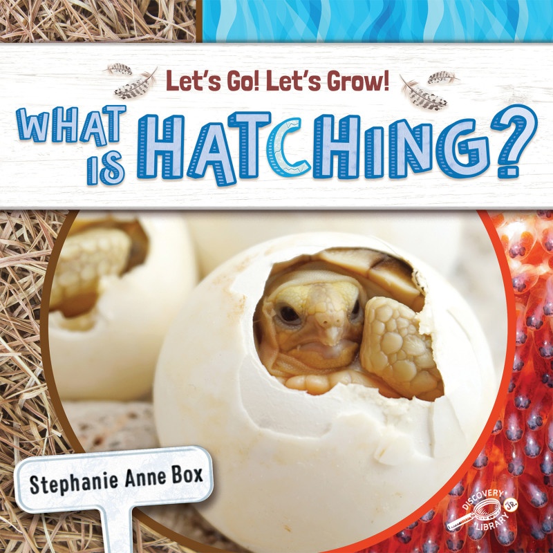 What Is Hatching