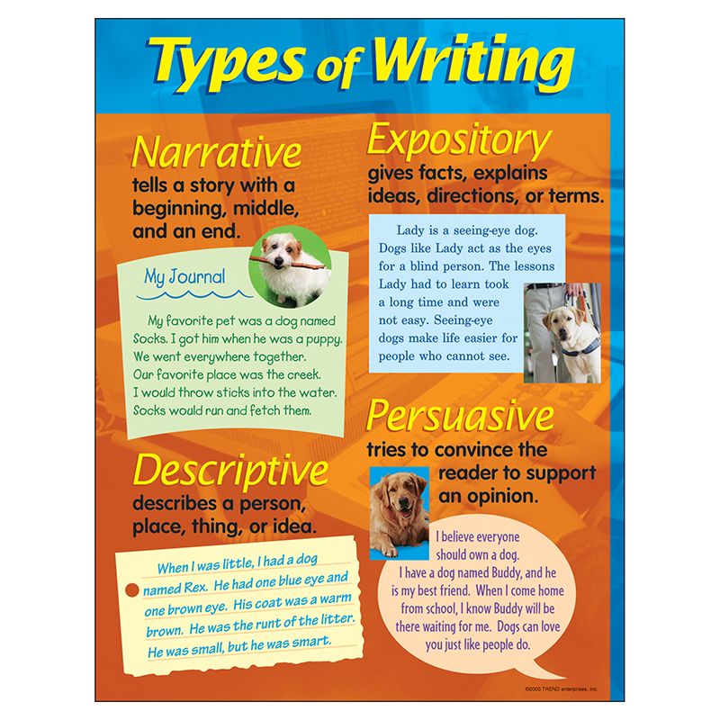 Chart Types Of Writing 17 X 22