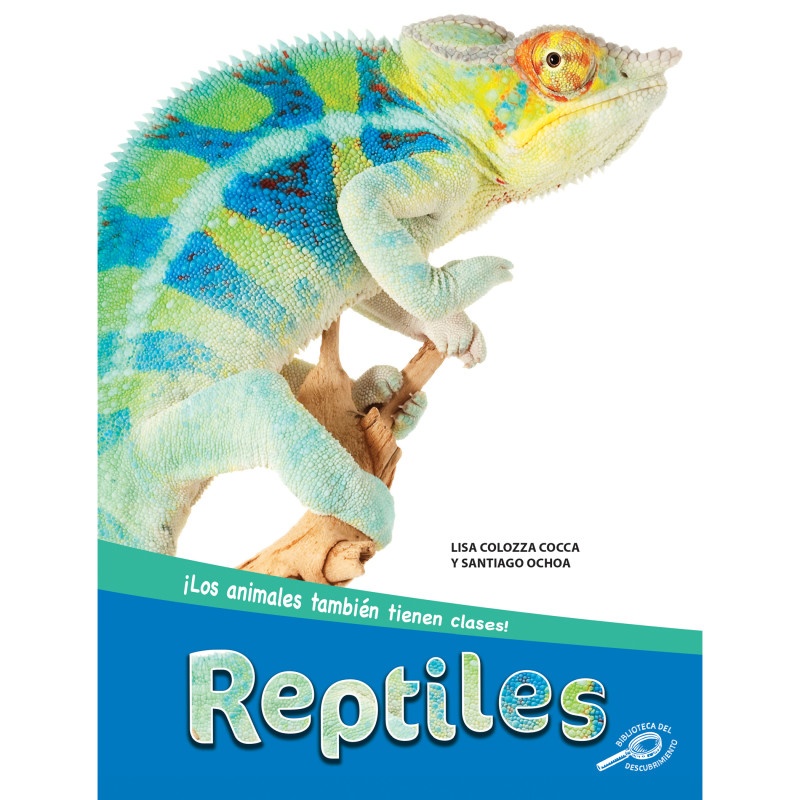 Reptiles Hardcover Spanish Book