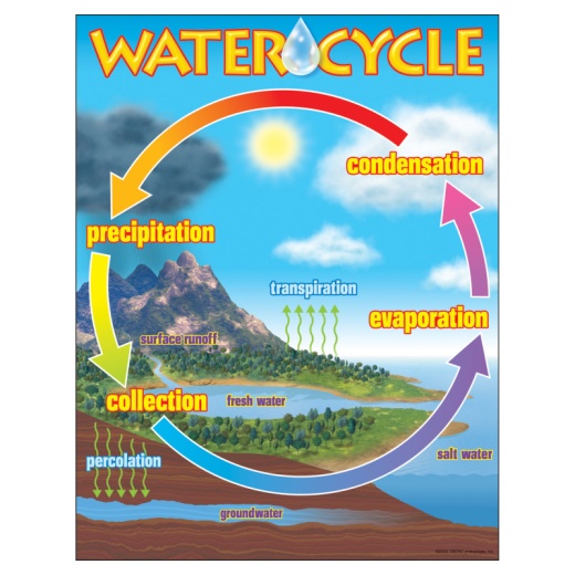 Chart The Water Cycle - Interactive Educational Chart for Kids