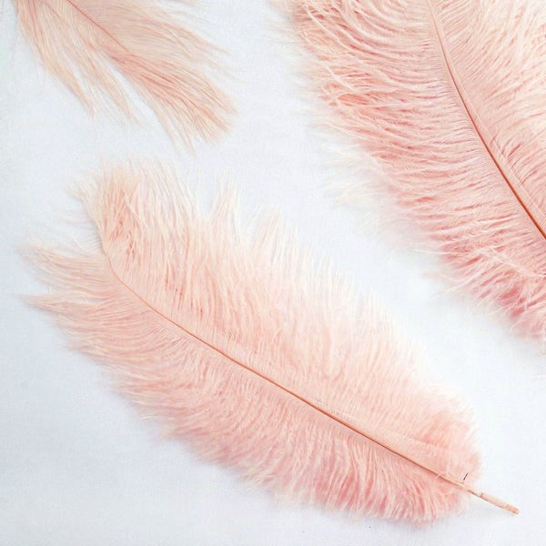 12 Pack Rose Gold Natural Plume Real Ostrich Feathers, Diy Centerpiece  Fillers 13-15