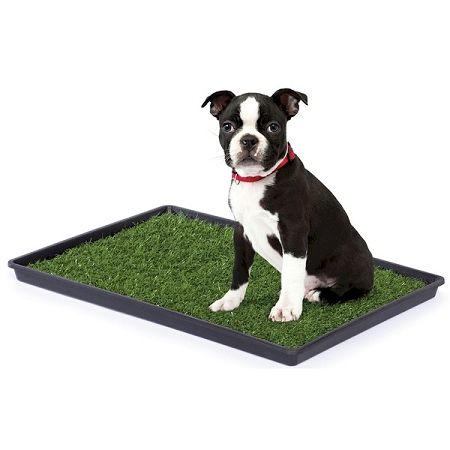 Tinkle Turf - Small