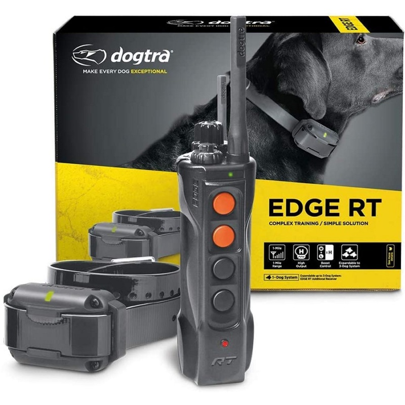 Dogtra Trainer