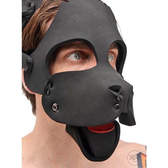 Neoprene Dog Hood With Removable Muzzle