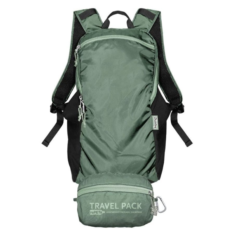 Chicobag Sage Repete + Refine Travel Pack
