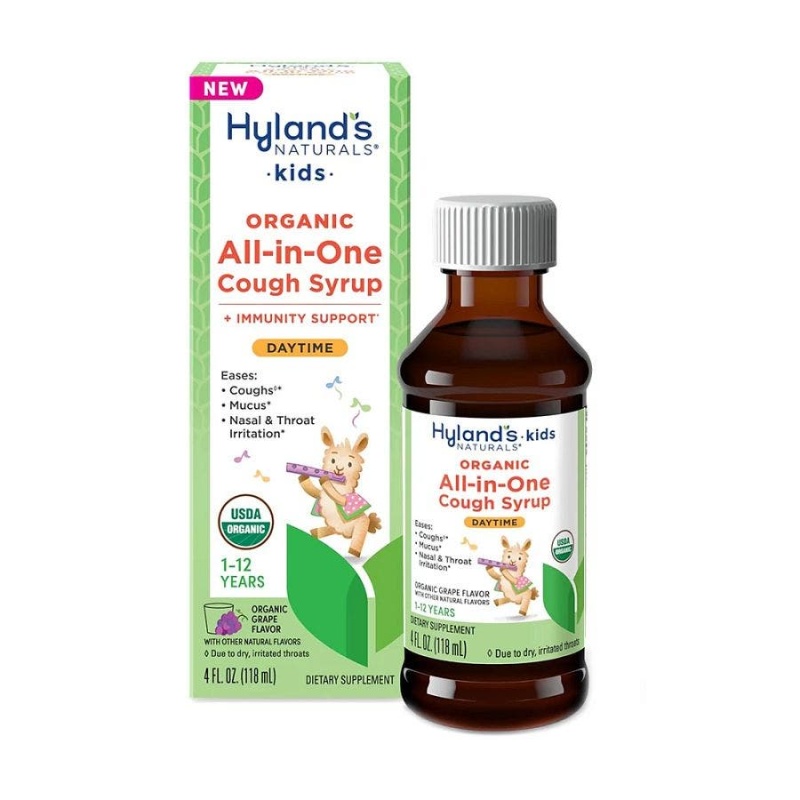 Hyland's Organic Kids Grape All-In-One Cough Syrup Daytime 4 Fl. Oz