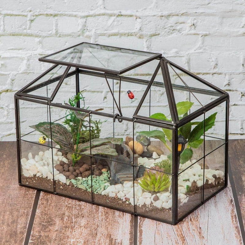 Ferrisland® House Glass Terrarium