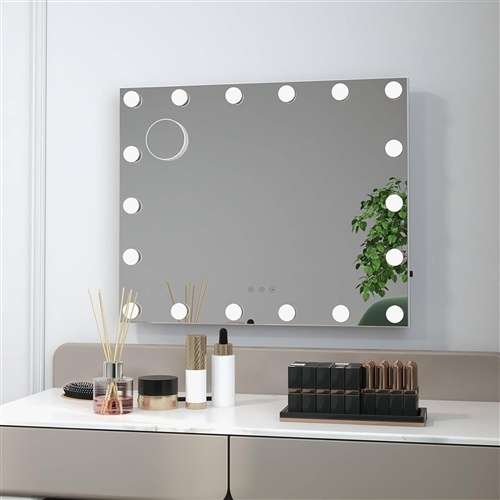 21 X 26 In Bathroom Mirror W/ Dimmable Lights + Removable 3X Magnifying Mirror