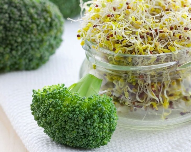 Broccoli Sprouting Seeds For Sprouting